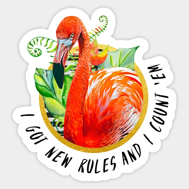 i got new rules and i count 'em Sticker by cats cant write